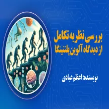  بررسی نظریه تکامل از دیدگاه آلوین پلانتینگا