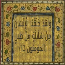 بررسی نظریه تکامل، قسمت سوم