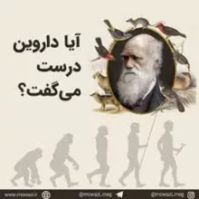 نقد تکامل
