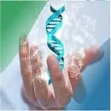 اخلاق در اسارت ژن ها؛ بررسی نظریات ریچارد داوکینز در مورد اخلاق مبتنی بر نظریه تکامل