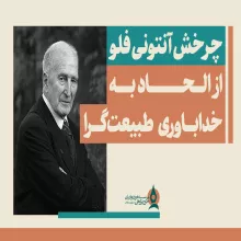 فلو