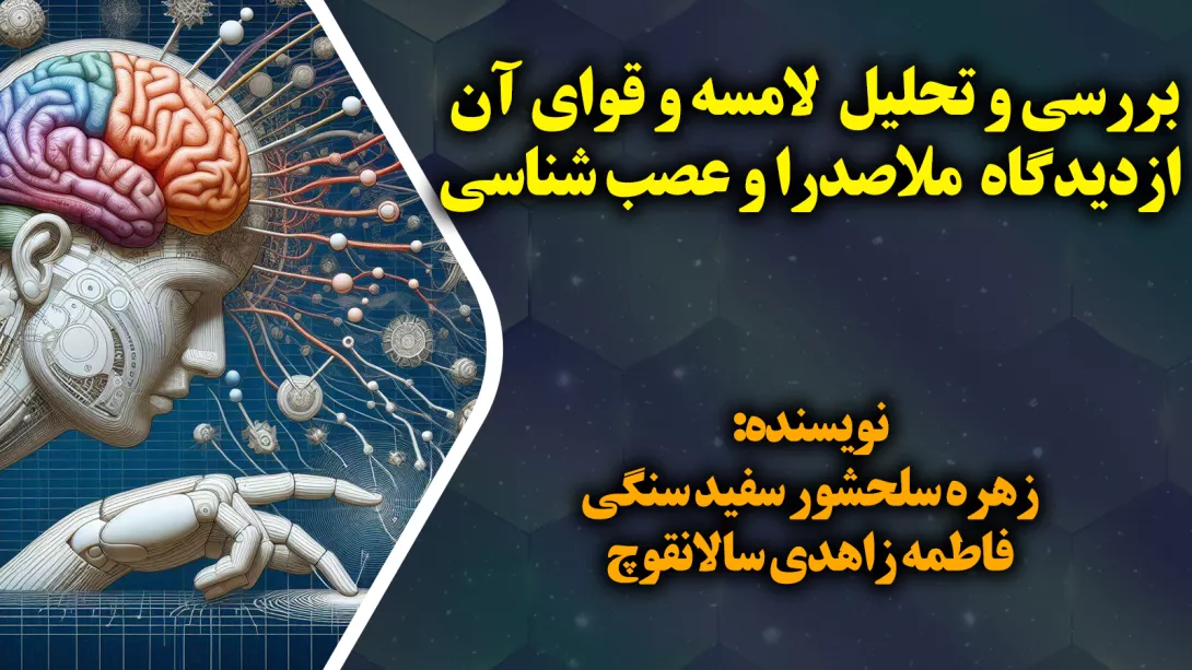 بررسی و تحلیل لامسه و قوای آن ازدیدگاه ملاصدرا و عصب شناسی