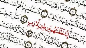 بررسی نظریه تکامل. قسمت چهارم: آیا نظریه تکامل داروین، دلیلی بر رد دیدگاه قرآنی مبنی بر خلقت اولیه انسان از گل دارد؟