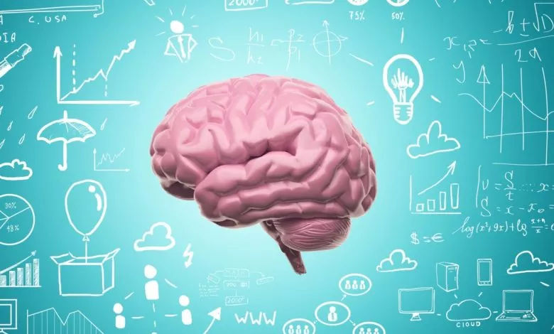 کردار ما حاصل جبر است یا اختیار؟ نانسی مورفی/ ترجمه: فروغ کیان‌زاده