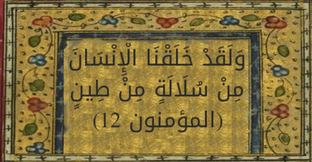 بررسی نظریه تکامل، قسمت سوم