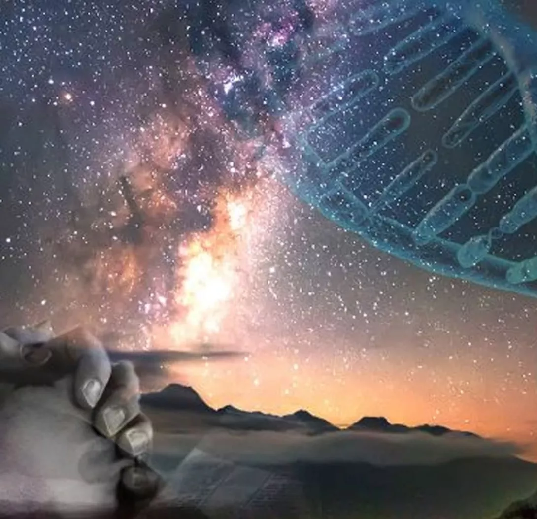 نقد داوکینز