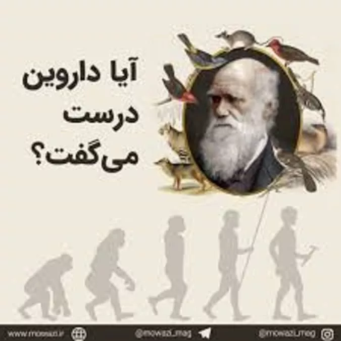 نقد تکامل