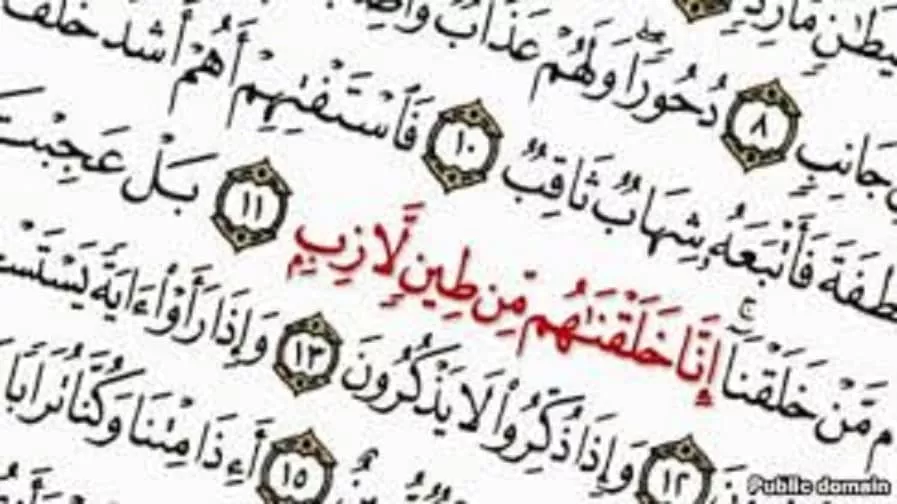 بررسی تطبیقی تاریخ پیدایش انسان در زمین از نظر علم و آموزههای قرآنی و حدیثی