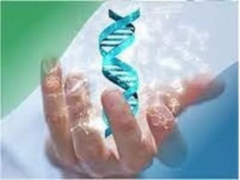 اخلاق در اسارت ژن ها؛ بررسی نظریات ریچارد داوکینز در مورد اخلاق مبتنی بر نظریه تکامل