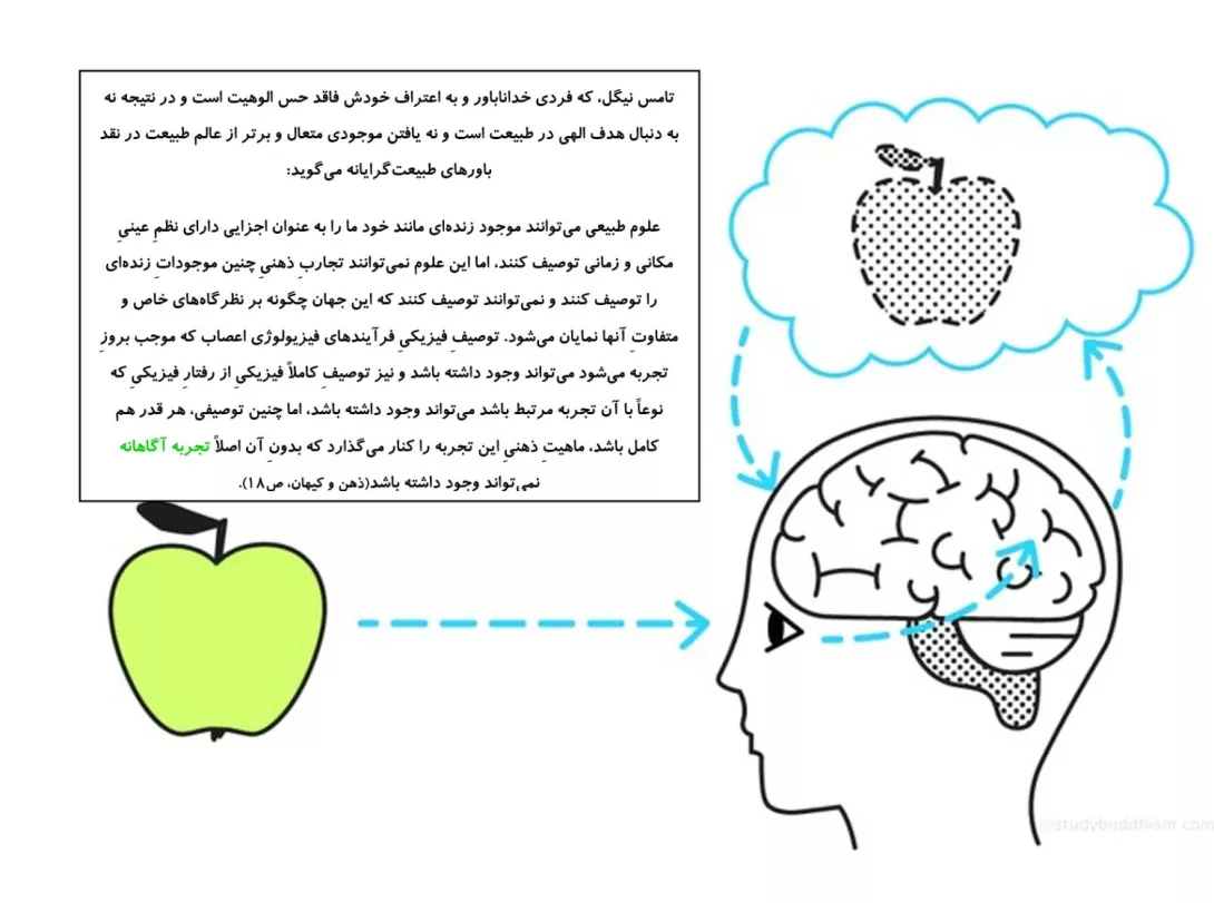 طبیعت گرایی